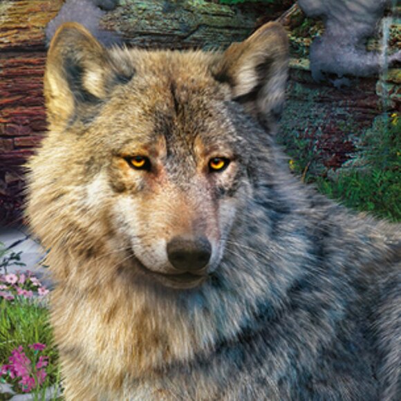 New sealed Ravensburger 1500pcs Puzzle-Wolves In Spring | Adult Puzzles - Picture 8 of 16